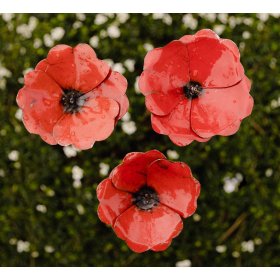Poppies (x3)