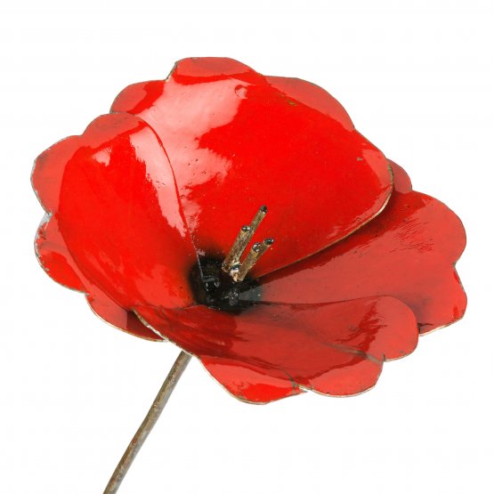 Poppies (x3) Poppies (x3)