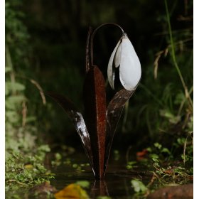 Snowdrop