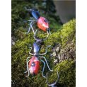Red Ant