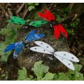 Dragonflies