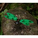Dragonflies