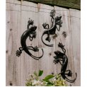Small Gecko