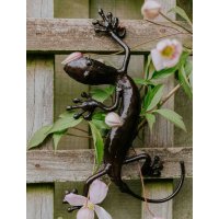Small Gecko Small Gecko