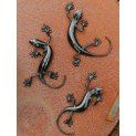 Small Gecko