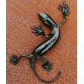 Small Gecko