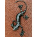 Small Gecko