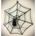 Spider web