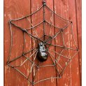 Spider web