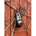 Spider web