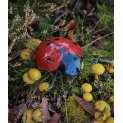 Ladybird