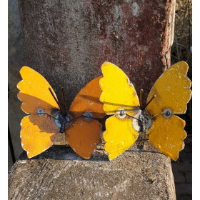Butterflies