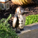 Baby Penguin