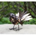 Fantail