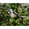 Flying Dove
