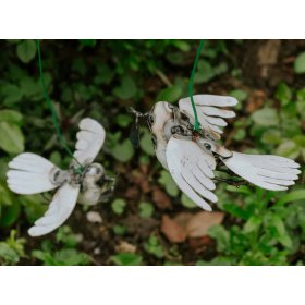 Flying Dove