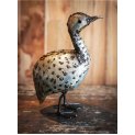 Guinea Fowl Chick 