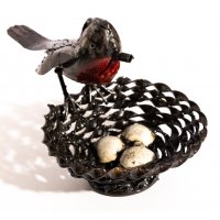 Robin Nest