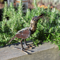 Sugar Bird