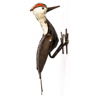 Woodpecker Woodpecker