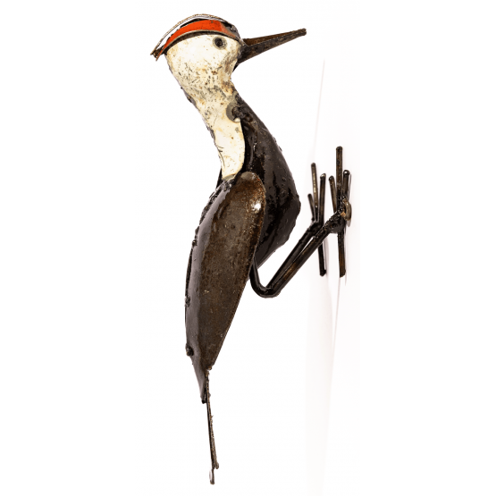Woodpecker Woodpecker