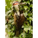 Woodpecker