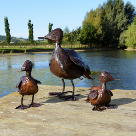 Duck & 2 Ducklings