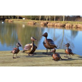 Duck Family